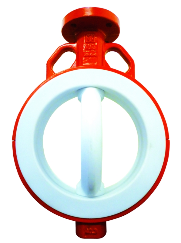 ABO 578B Dn 300 Pn 6 Затворы #2