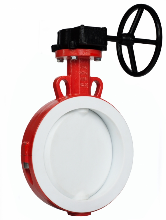 ABO 589T Dn 65 Pn 16 Затворы #1