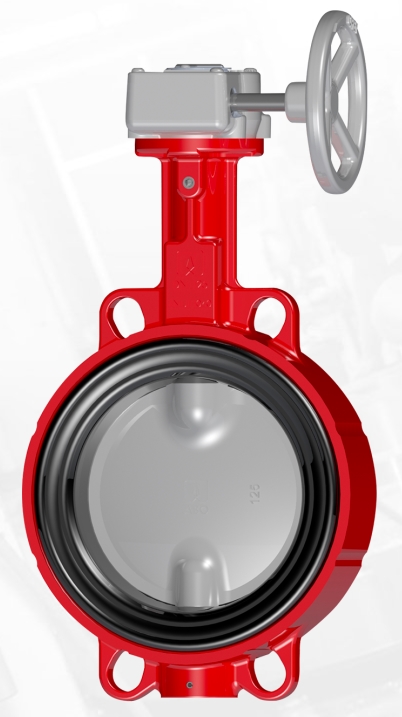 ABO 613BG Dn 125 Class 150 Затворы #1