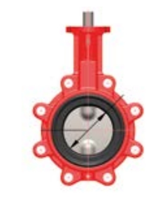 ABO 992T Dn 50 Pn 10 Затворы #2